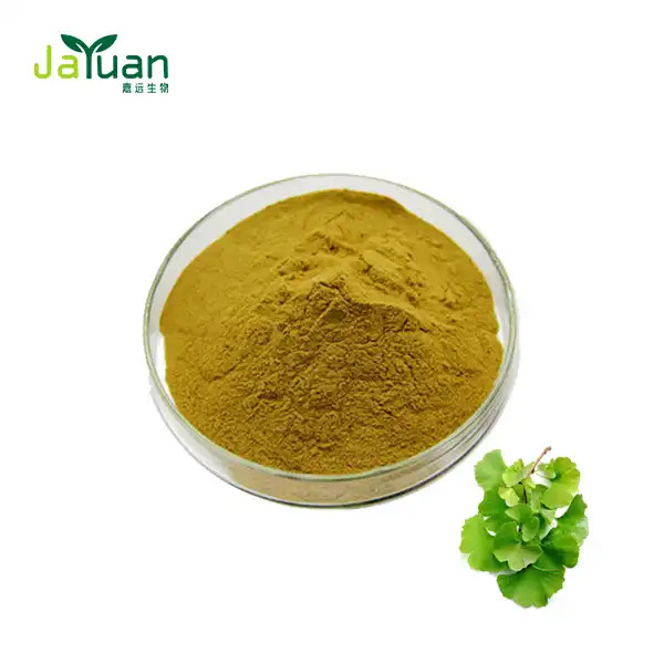 Ginkgo Biloba Extract Powder Ginkgo Biloba Extract Powder